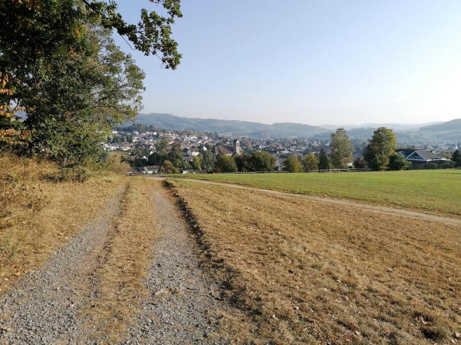 Sauerlandluft Apartment Balve Bagian luar foto